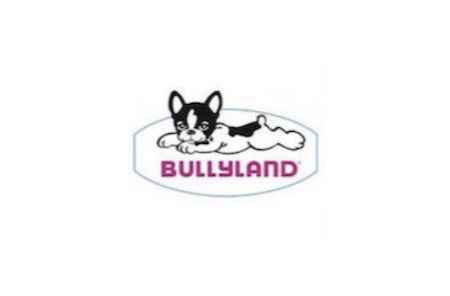 giochi Bully – Il Paese dei Balocchi Sanremo